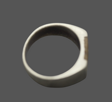 Matte Finish Cremation Ashes Signet-Style Ring for Men