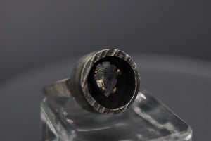 a ring with a picture of a horse in it